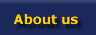 About RE/MAX