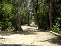 Los Arboles Tulum