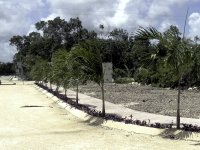 Riviera Tulum