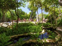 Condo Natura 