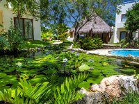 Condo Natura 