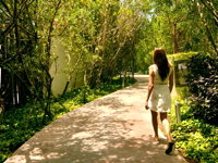 Senderos Mayakoba