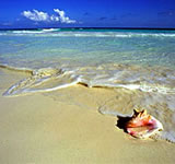 remax-playa